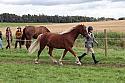Carnwath2025Ring1574