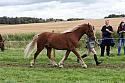 Carnwath2025Ring1575