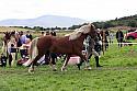 Carnwath2025Ring1576
