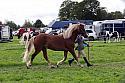 Carnwath2025Ring1578