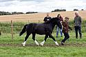 Carnwath2025Ring1581