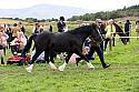 Carnwath2025Ring1583