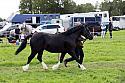 Carnwath2025Ring1585