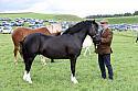 Carnwath2025Ring1590