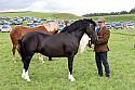 Carnwath2025Ring1591