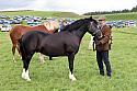 Carnwath2025Ring1592