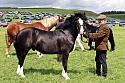 Carnwath2025Ring1593
