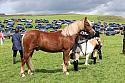 Carnwath2025Ring1595