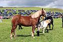 Carnwath2025Ring1597