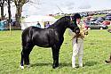 Carnwath2025Ring1602