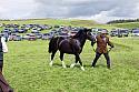 Carnwath2025Ring1605