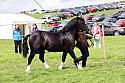 Carnwath2025Ring1606