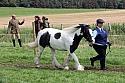 Carnwath2025Ring1607