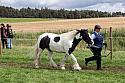 Carnwath2025Ring1608