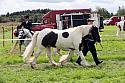 Carnwath2025Ring1613