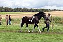 Carnwath2025Ring1616