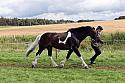 Carnwath2025Ring1617