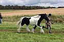 Carnwath2025Ring1630