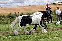 Carnwath2025Ring1633