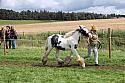 Carnwath2025Ring1635