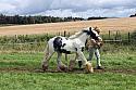 Carnwath2025Ring1636
