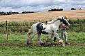 Carnwath2025Ring1637
