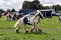 Carnwath2025Ring1639