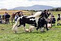 Carnwath2025Ring1643