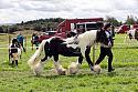 Carnwath2025Ring1644