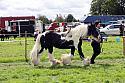 Carnwath2025Ring1645