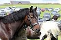 Carnwath2025Ring1646