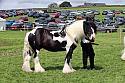 Carnwath2025Ring1649