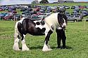 Carnwath2025Ring1650