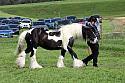 Carnwath2025Ring1659