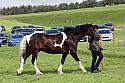 Carnwath2025Ring1660