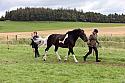Carnwath2025Ring1671
