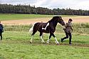 Carnwath2025Ring1672