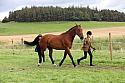 Carnwath2025Ring1676