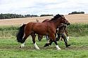 Carnwath2025Ring1681