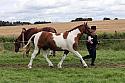 Carnwath2025Ring1687
