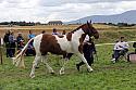 Carnwath2025Ring1690