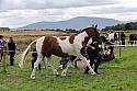 Carnwath2025Ring1691