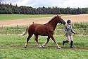Carnwath2025Ring1697