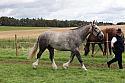 Carnwath2025Ring1703