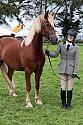 Carnwath2025Ring1706