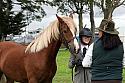 Carnwath2025Ring1711
