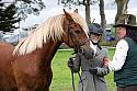 Carnwath2025Ring1712