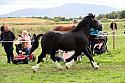 Carnwath2025Ring1719