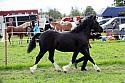 Carnwath2025Ring1722