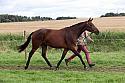 Carnwath2025Ring1725